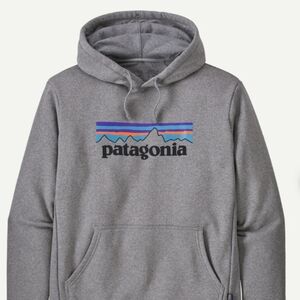 Patagonia Men's Gravel Heather Logo Hoodie